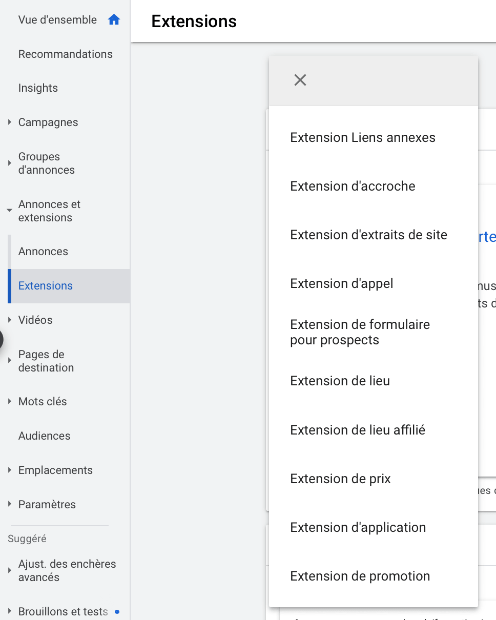 Aperçu des extensions d'annonces disponibles dans Google Ads