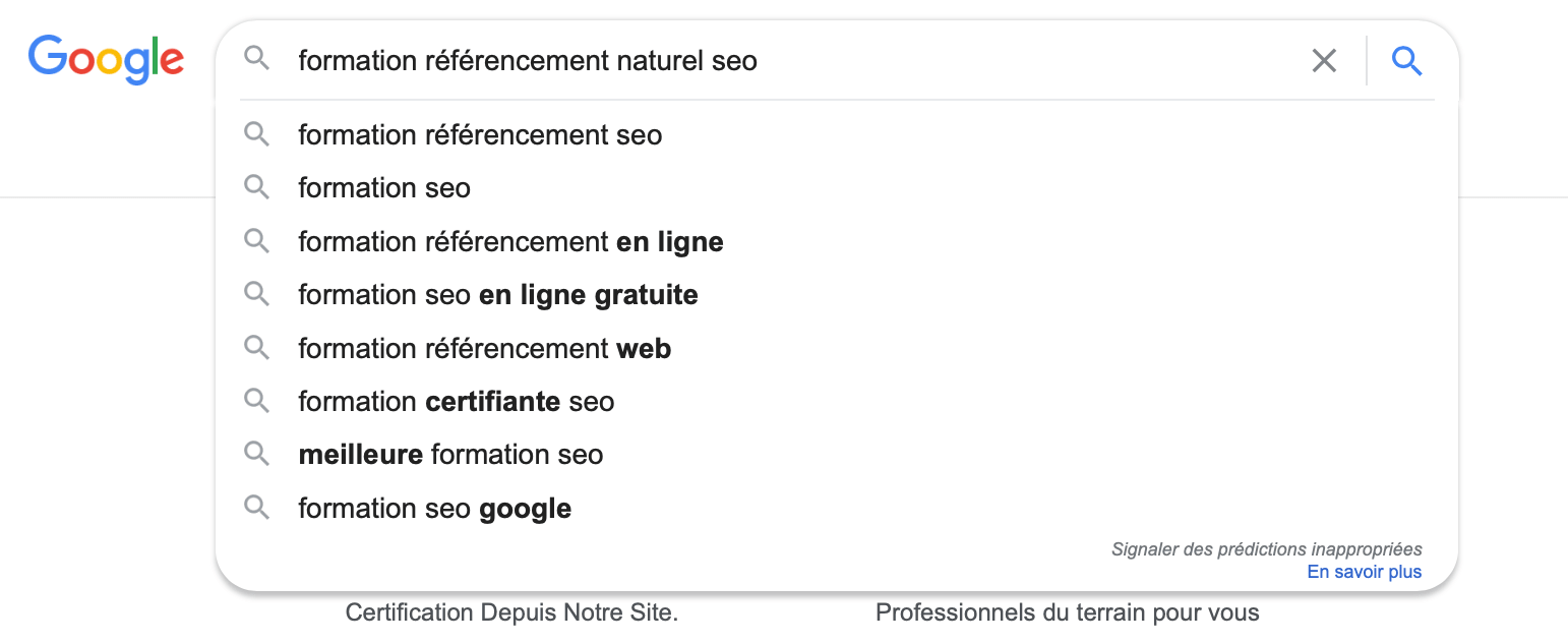 Suggestions de recherche Google Autocomplete